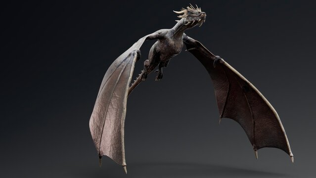 Wyvern type Dragon pose render of background. 3d rendering