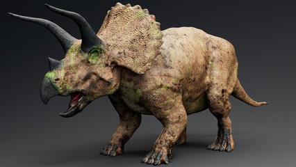 Obraz premium Triceratops pose render of background. 3d rendering