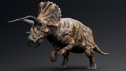 Triceratops pose render of background. 3d rendering © racksuz
