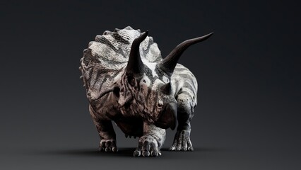 Triceratops pose render of background. 3d rendering © racksuz