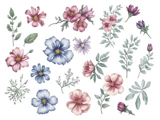 set of watercolor flower on transparent background,generative ai
