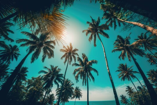 Summer tropical coconut palm trees against blue sky. Background color is neutral. Summer vacation idea. Generative AI