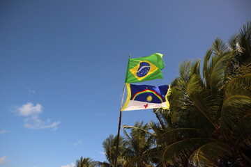 Banderas de Brasil e Pernambuco, Nordeste de Brasil na praia com céu azul e coqueiros