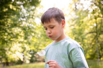 a cute boy in the park blows on a dandelion. a warm summer day.