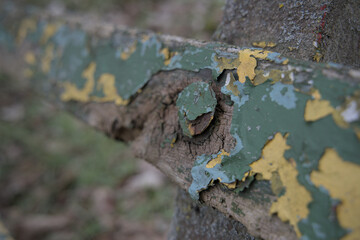 Verrottetes Holz muss lackiert werden