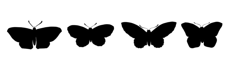 Set of silhouettes of winged insects of the night moth.Vector graphics.