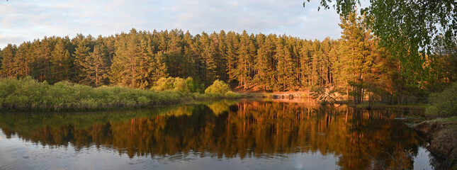 Panorama of the spring river in the woods.