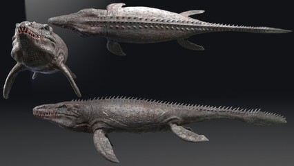 Mosasaurus  pose render of background. 3d rendering