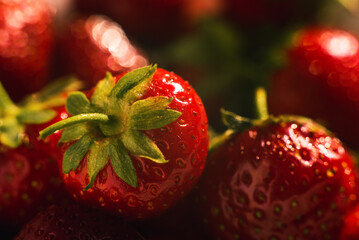 Red, ripe strawberries with well-defined texture in close-up. Macro shot of a strawberry....