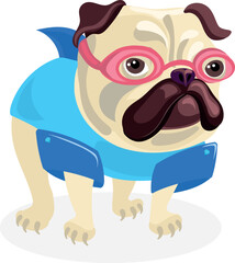 Pug wearing swimming glasses and swimming suit