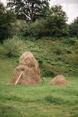 Haystacks on a green meadow in the mountains
