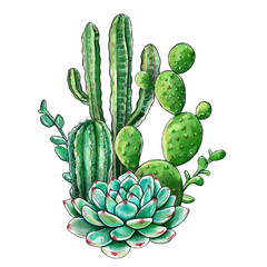 Bright composition of cacti and succulents. Watercolor hand drawn illustration of succulents. It can be used for wedding cards and invitations, mother's day cards and birthday cards.