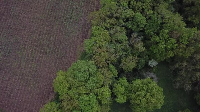 An aerial view of the countryside near Clisson.