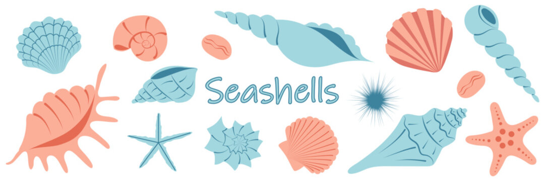Collection of sea shells. Blue and pink cartoon shell. Summer set of underwater elements. Marine background