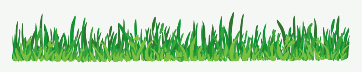Green vector grass, horizontal border. A set of elements for design, green meadow, spring greenery, plants for a summer meadow. Illustration isolated on white background