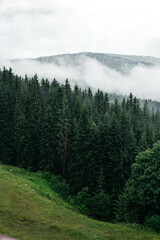 Mountain landscape with clouds.  Ukrainian Carpathians mountains