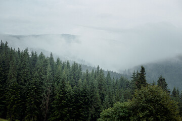 Mountain landscape with clouds. Ukrainian Carpathians mountains