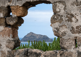 Das Fenster zum Roque de Garachico - ein Riss in der Mauer erlaubt einen spektakulären Blick auf das Wahrzeichen von Garachico. Kanaren-Wolfsmilch (Euphorbia canariensis) wächst im Vordergrund