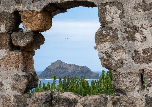 Das Fenster zum Roque de Garachico - ein Riss in der Mauer erlaubt einen spektakul&auml;ren Blick auf das Wahrzeichen von Garachico. Kanaren-Wolfsmilch (Euphorbia canariensis) w&auml;chst im Vordergrund