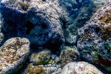 Naklejka na ściany i meble Sea Life Underwater Rocks Sunlight, Underwater Life
