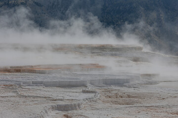Scenic Mammth Hot Springs Yellowstone National Park Landscape