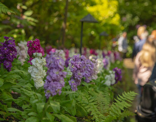 Scenic Butchart Gardens - Brentwood Bay - British Columbia