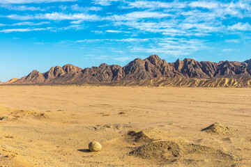 Sahara desert in Egypt