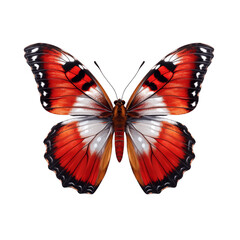 Butterfly isolated on transparent background, beautiful red and white butterfly flying over white background, top view, flat lay, view from above. generative ai