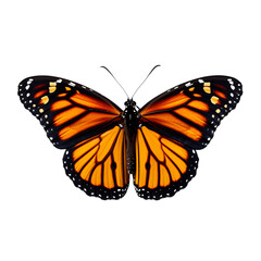 Butterfly isolated on transparent background, beautiful monarch butterfly flying on white background, top view, flat lay, view from above. generative ai