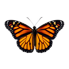 Fototapeta premium Butterfly isolated on transparent background, beautiful monarch butterfly flying on white background, top view, flat lay, view from above. generative ai