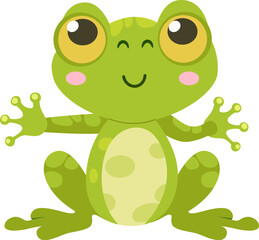 Sitting Frog Amphibian