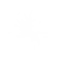 white milk splash elements