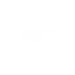 white milk splash elements