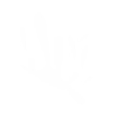 white milk splash elements