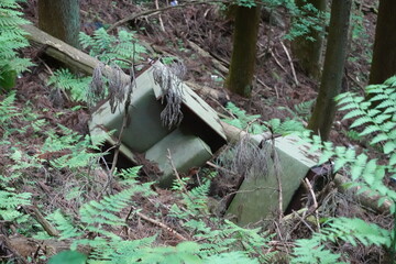 投棄されたソファー