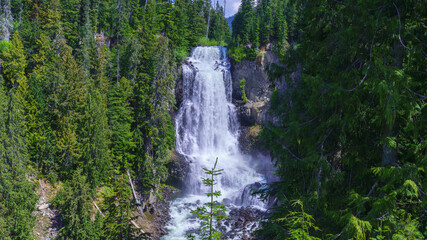 Stunning Alexander Falls near Whistler Olympic Park, BC, with dense forest backdrop.