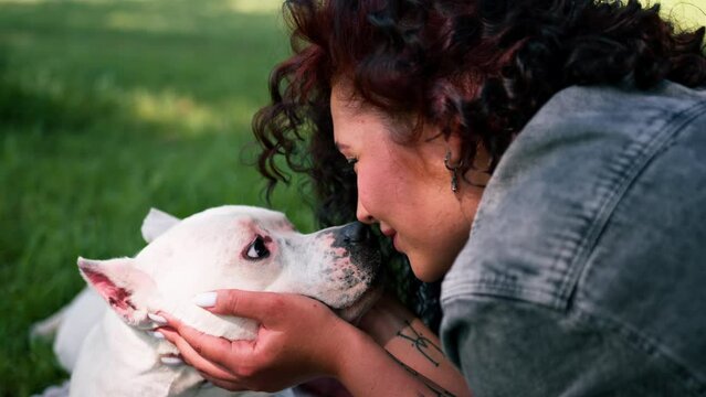 a beautiful white dog of the pitbull breed Staffordshire terrier on a walk in the park the owner kisses the dog on the nose summer