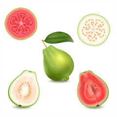 Set of realistic illustration of white and red guava. Fresh whole guava with leaves and slice guava  isolated on white background. Can enhance Body Immunity.