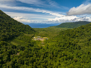 Rainforest and jungle in the tropics. Weh Island, Aceh, Indonesia.