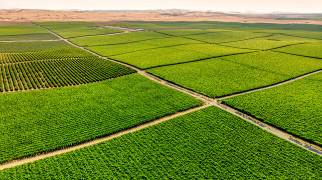 paracas vineyards drone shot