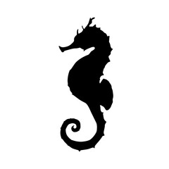 Black silhouette of a seahorse isolated on a white background. © Svetlana