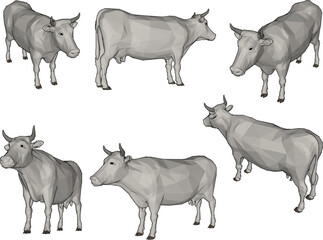 Vector sketch illustration of cartoon fat cow farm animal with lots of meat