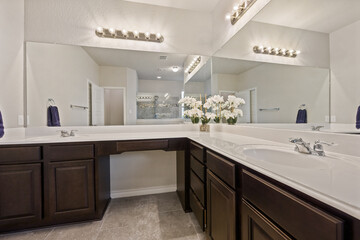 home bathroom 