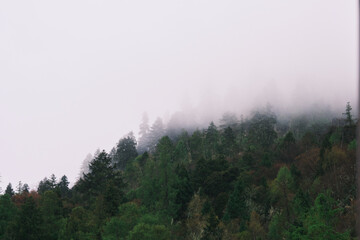 fog in the mountains