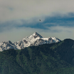 Fototapeta premium mountains in the snow