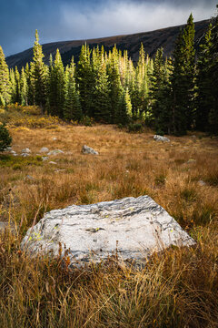 Boulder and trees near Lake Isabelle, Indian Peaks Wilderness, CO