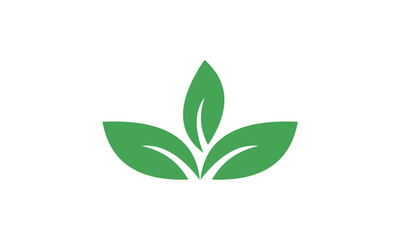 Fototapeta na wymiar green leaves isolated on white background