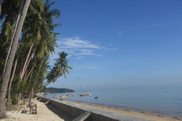 Blue sky and the palm tree in the beach