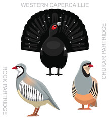 Cute Bird Partridge Capercaillie Hen Set Cartoon Vector