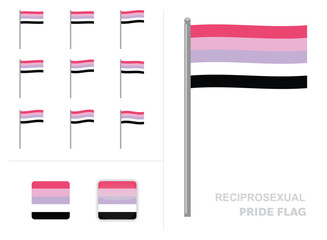 Reciprosexual Pride Flag Waving Animation App Icon Vector